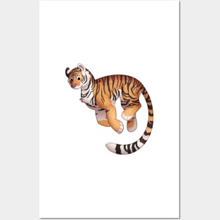 Cozy Bengal Tiger Posters and Art